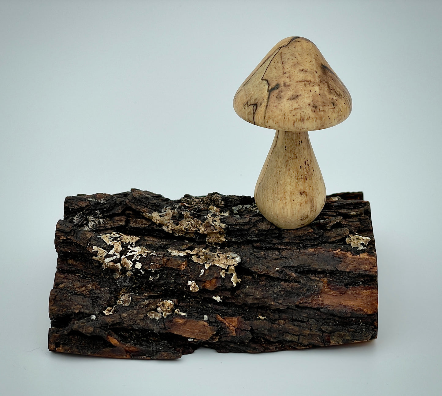 Mushroom on a log
