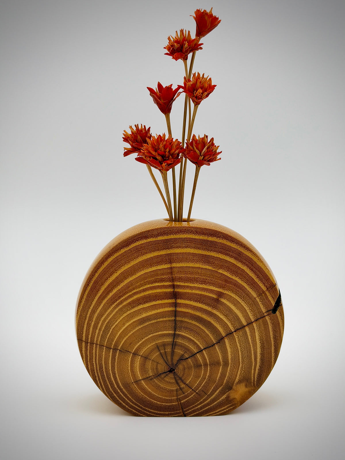 Disc vase