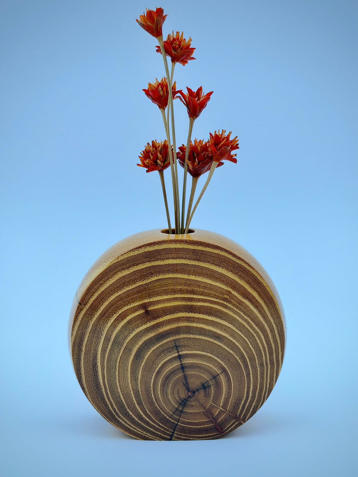 Disc vase