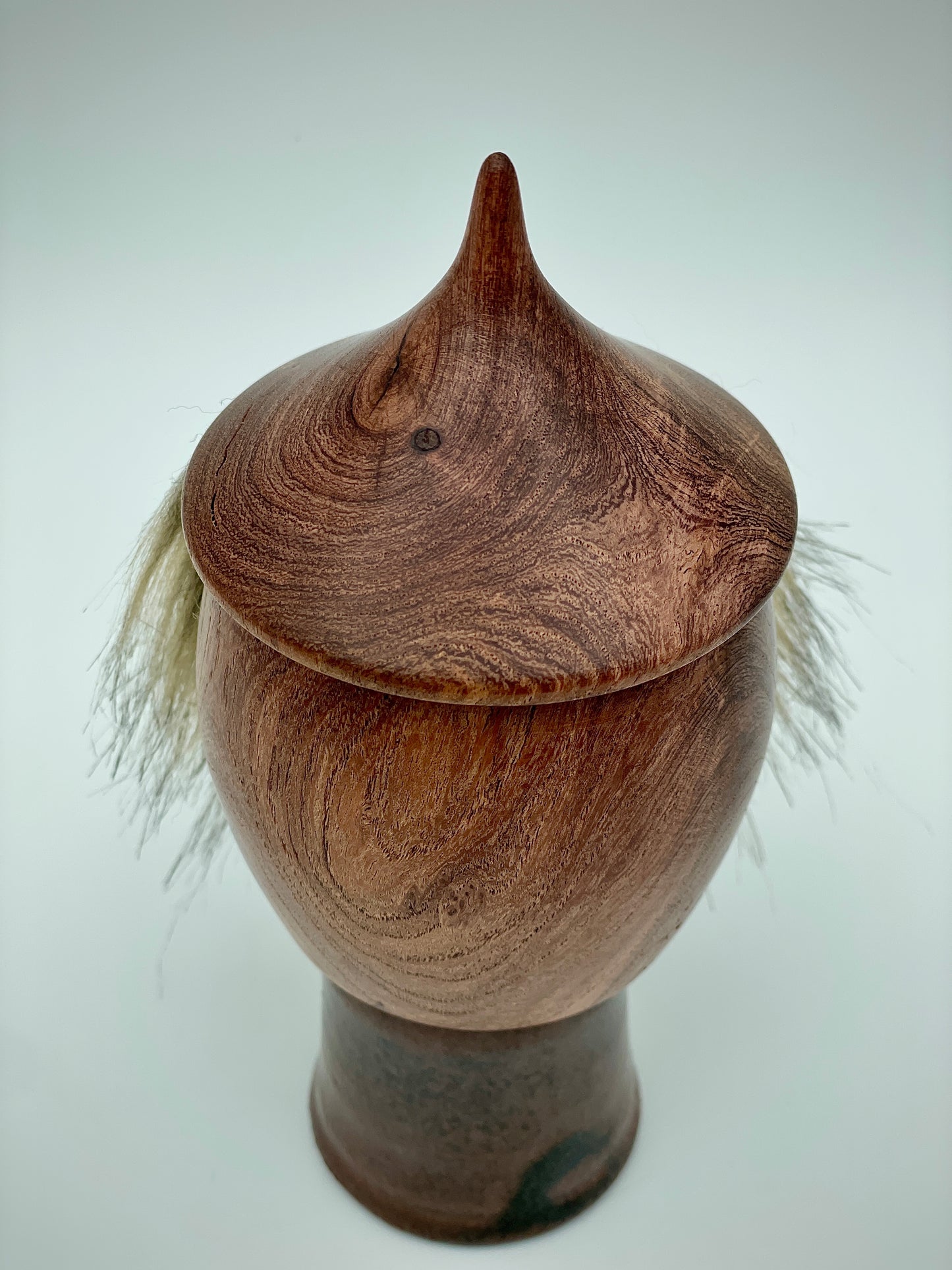 Bearded gnome