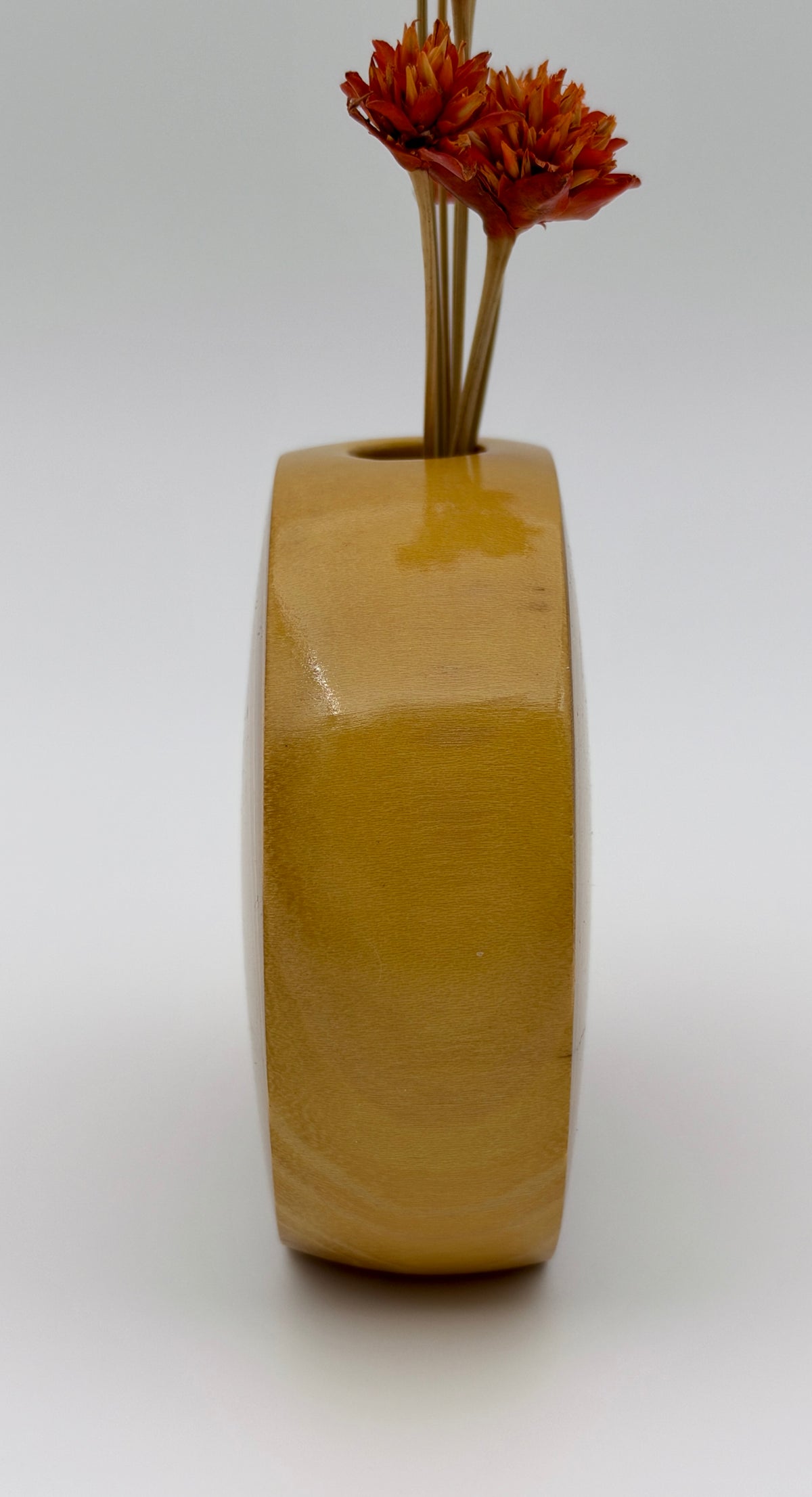 Disc vase