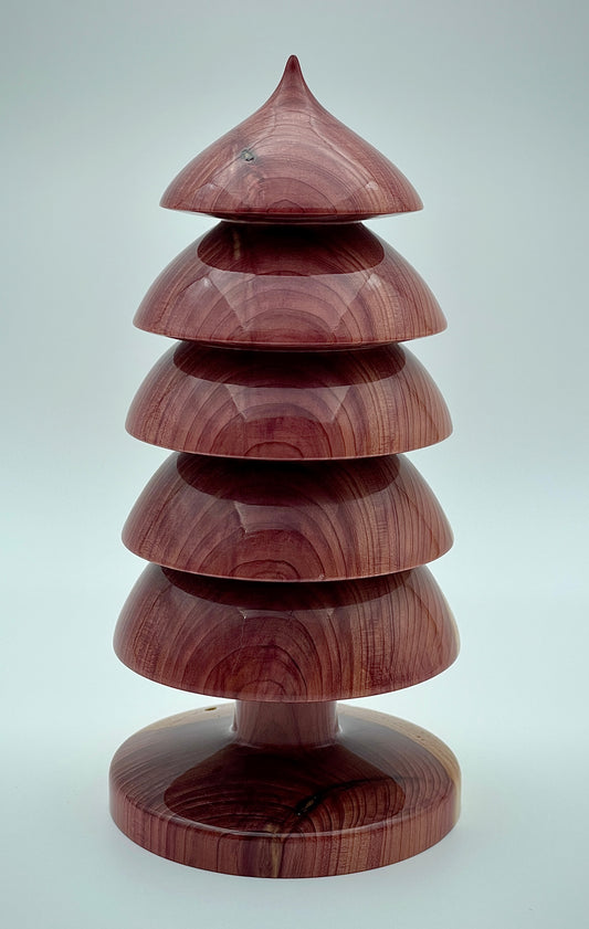 Western redwood tree