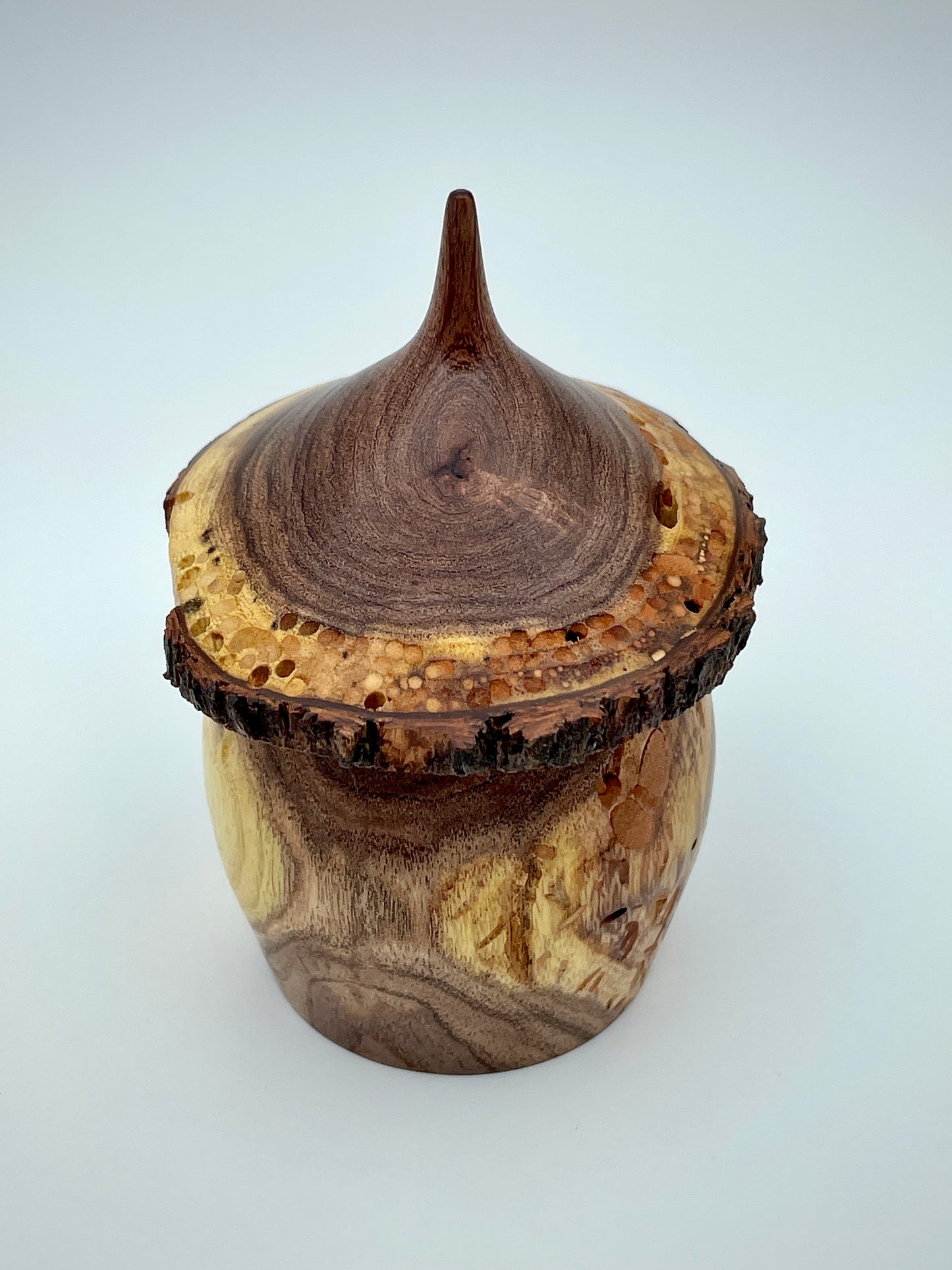 Mesquite gnome