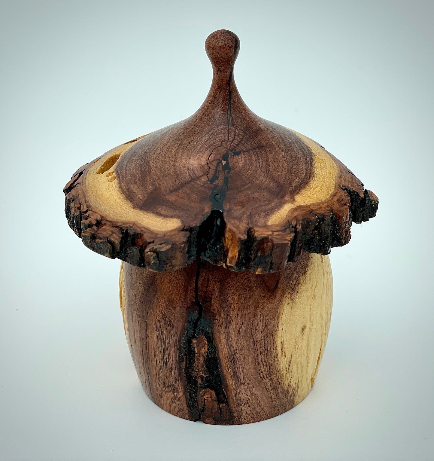 Mesquite gnome