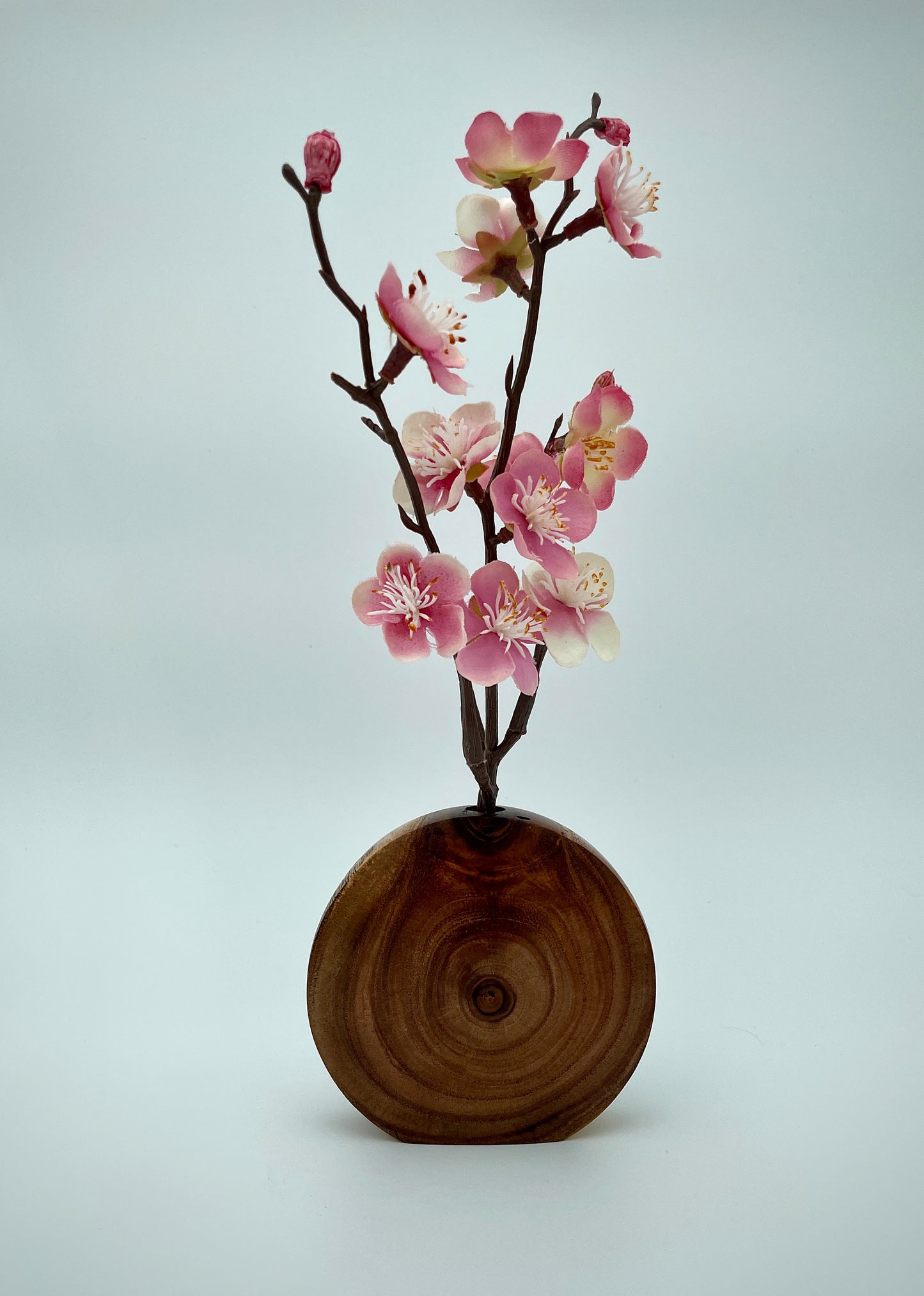 Chinaberry disc vase