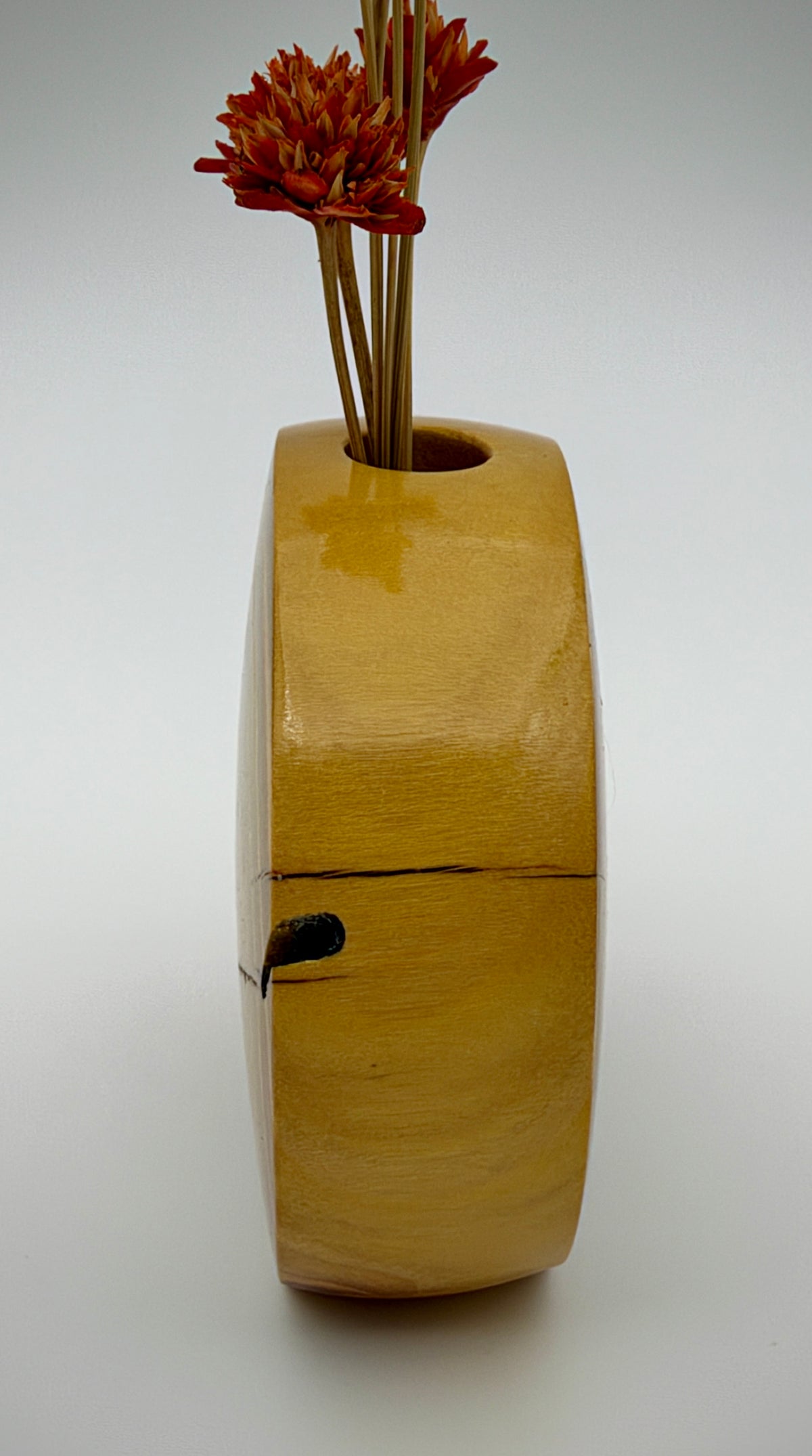 Disc vase
