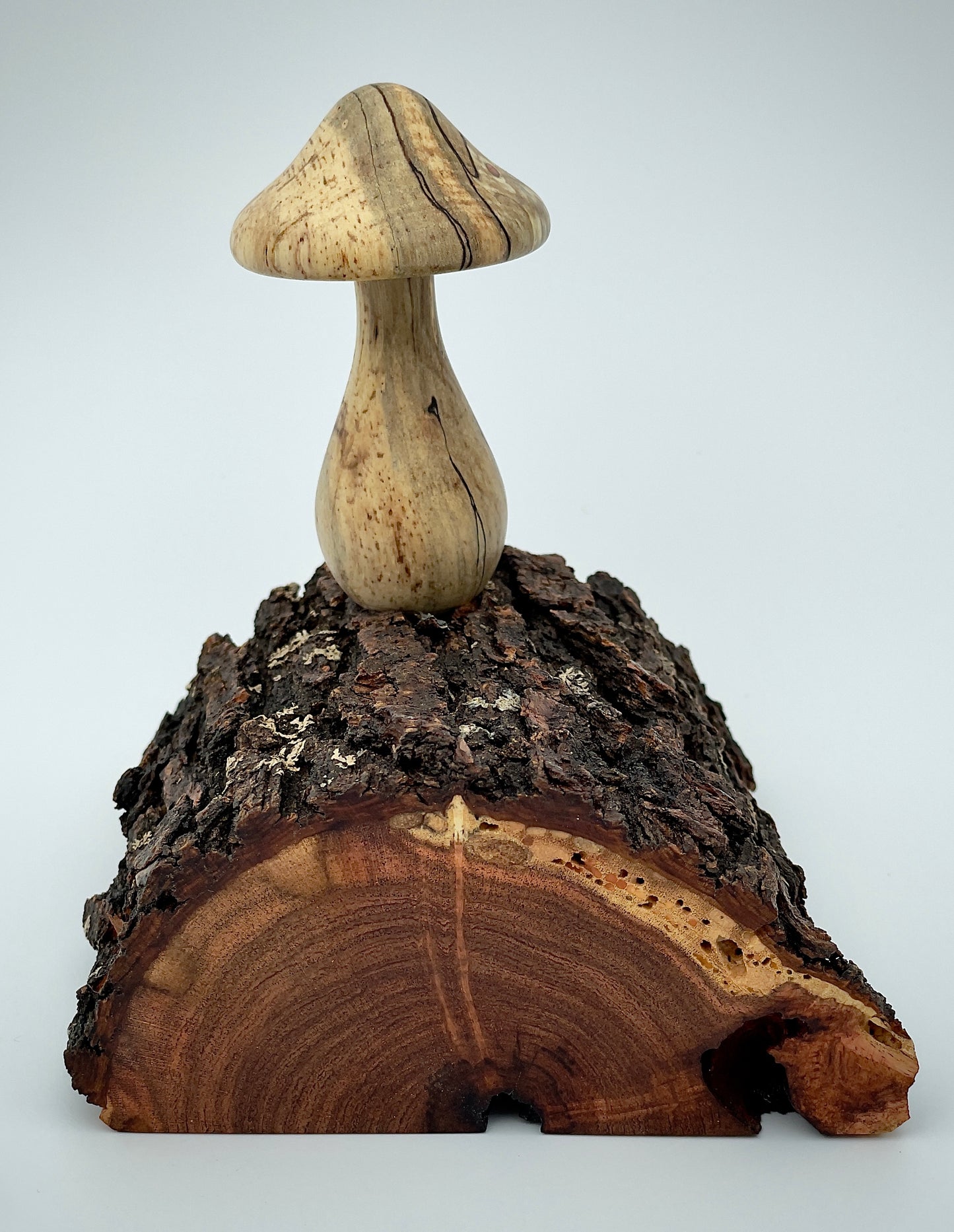 Mushroom on a log