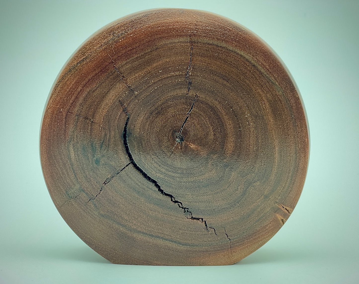 Disc vase