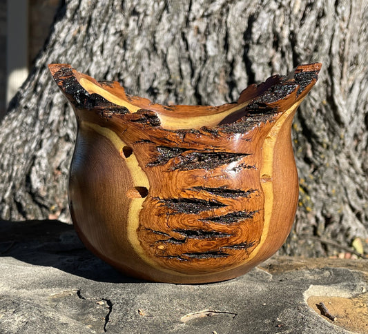 Mesquite Bird's Mouth Vase