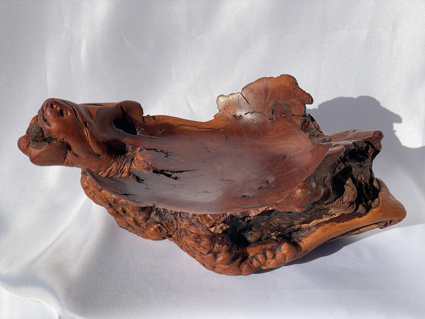 Abstract root ball dish