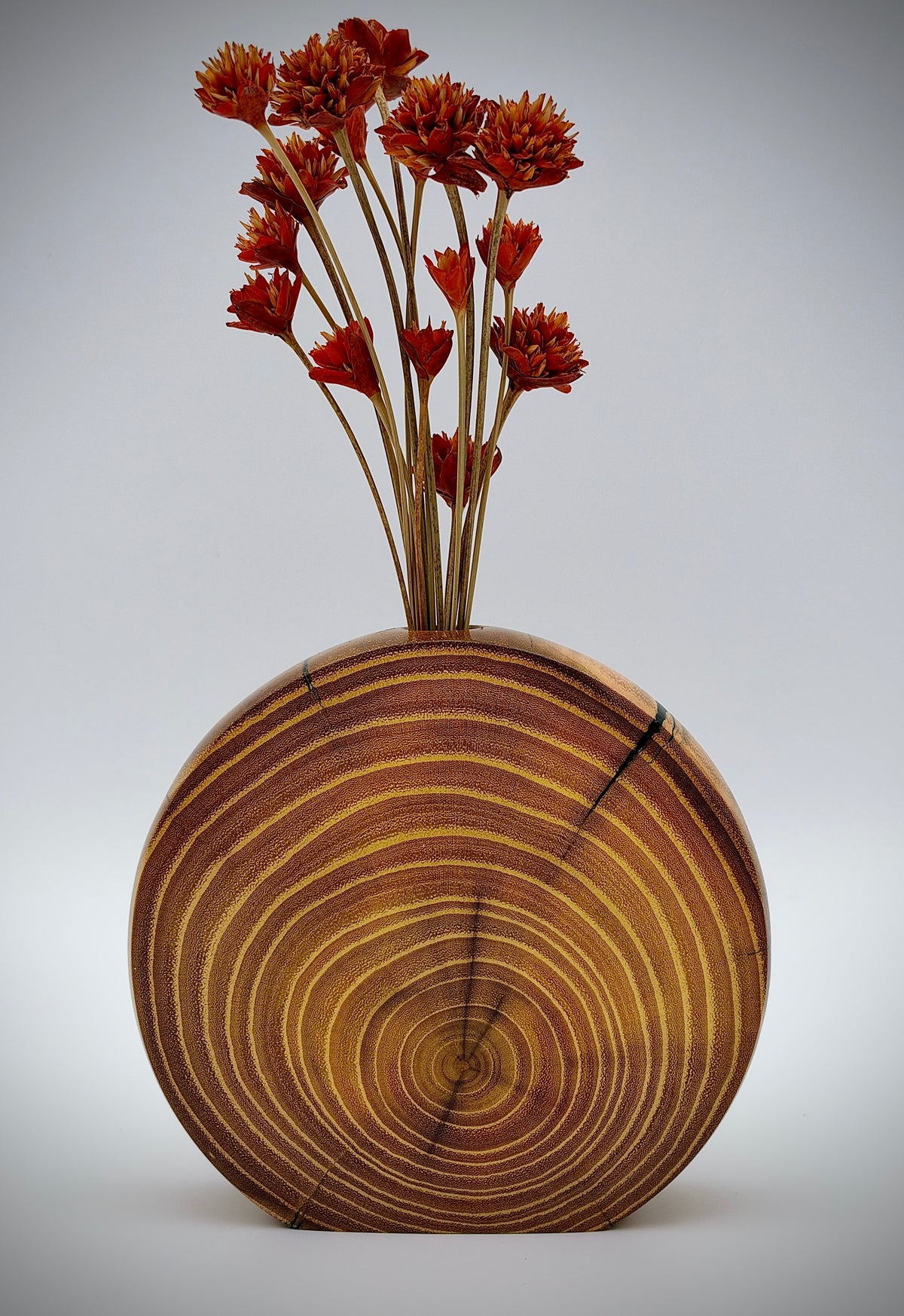 Disc vase