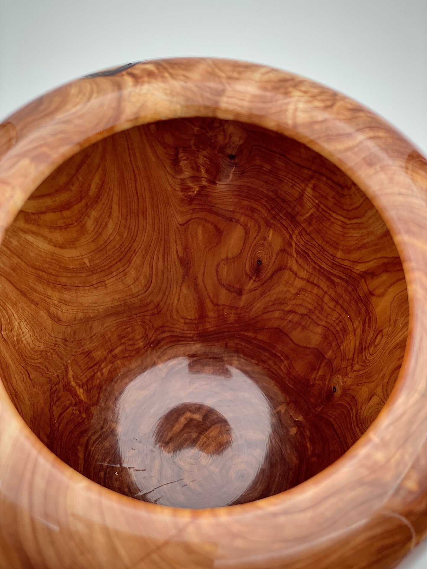 Large Texas cedar vase