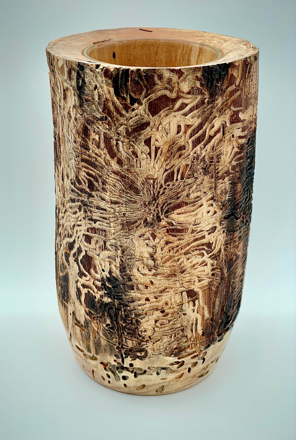 Bug track vase