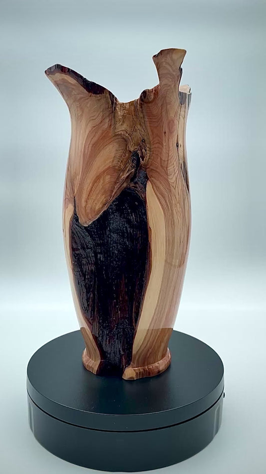 Natural edge Texas cedar vase