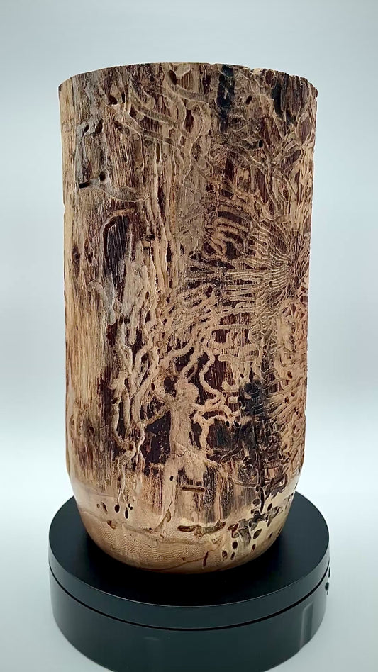 Bug track vase