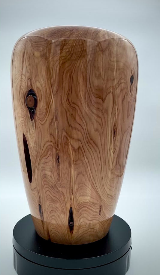Large Texas cedar vase